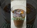 make easy and free organic liquid fertilizer from kitchen wastes #shorts