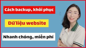 Hướng Dẫn Backup Khôi Phục Dữ Liệu Website Wordpress | Sao lưu dữ liệu bằng Plugin All in one
