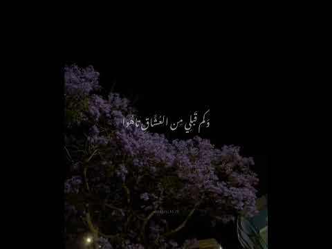 سراب المنشد ناصر السعيد