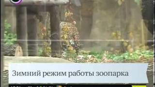 Москва 24 - Выпуск новостей - 13 ноября 2012 (17:30)