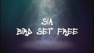 Sia - Bird Set Free (Lyrics)