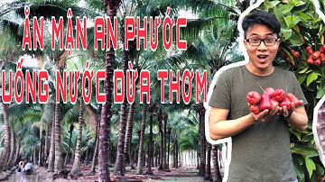 Cần Thơ #2 | Vườn Dừa - Vườn Mận An Phước - Cù Lao Tân Lộc - Thốt Nốt | Về Quê Ăn Trái Cây