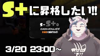 【スプラ3】2シーズンぶりの昇格戦です！S+に昇格したい！！！【ケモノVtuber】