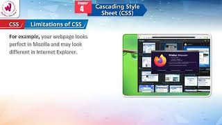 Cascading Style Sheet (CSS) | Wonder IT World (Win 10 - MS Office 2016 - AI) Class 8 | Ch 4