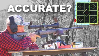 How Accurate Are These Precision 308 Rifles?