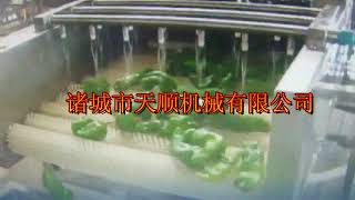 Pepper washing and drying machine