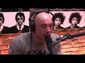 Joe Rogan talks to Lawrence Krauss about CRISPR