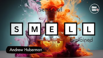 Unlocking the Secrets of Your Sense of Smell: A Journey Through Olfaction| Andrew Huberman