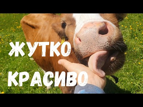 Лаутербруннен Швейцария| Водопады| Воскресные вылазки