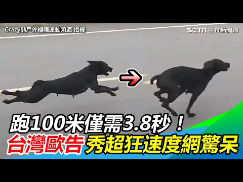 跑100米僅需3.8秒！台灣歐告秀超狂速度網驚呆｜三立新聞網 SETN.com