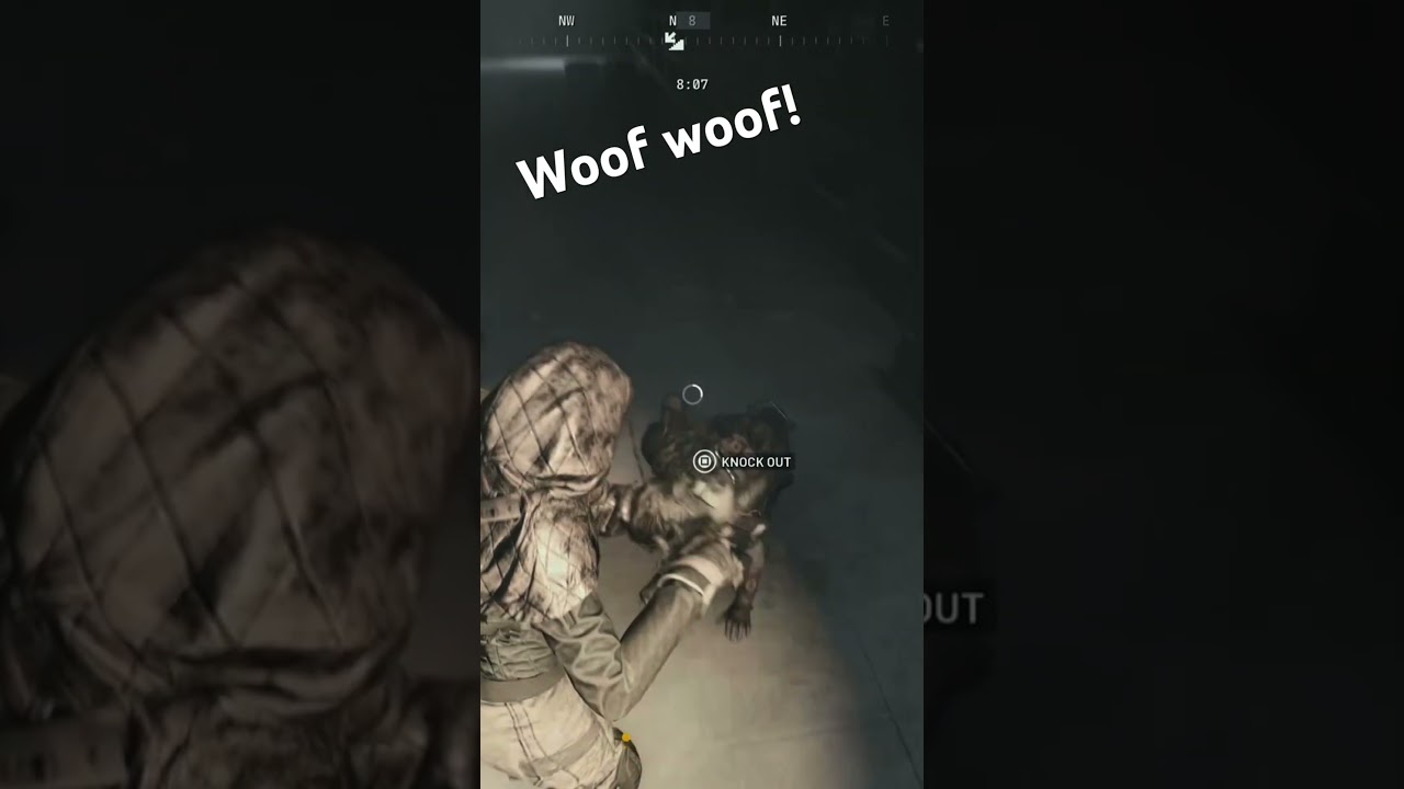 I didn’t think this guy was going to actually bark for me 😳 