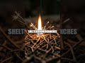 Five Must Know Wild Survival Moves for Real World Explorers