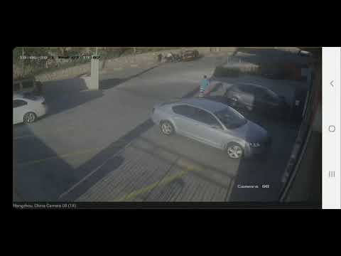 في دير الاسد