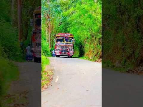 Busvideo Srilanka Trending Viralvideo Foryou Foryou 2025song Music Monarakirilli
