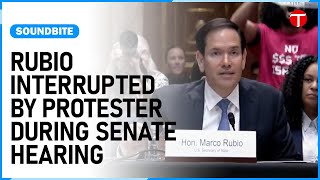 Marco Rubio Interrupted By Protester During Remarks At Senate Hearing | The Express Tribune