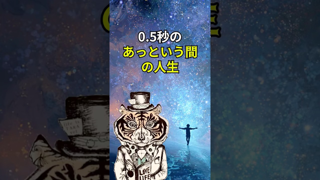 クヨクヨ悩んでいる時間はない！0.5秒のあっという間の人生。 - YouTube
