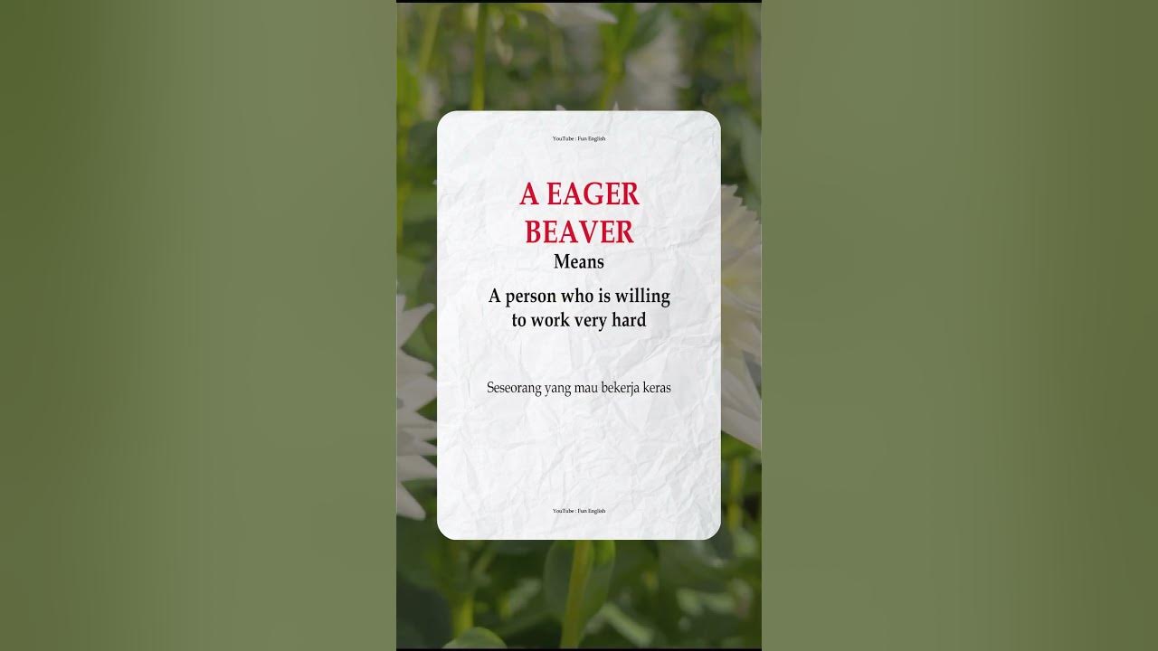 A EAGER BEAVER Meaning YouTube a-eager-beaver-meaning-youtube