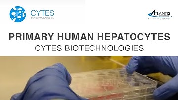 Primary Human Hepatocytes - Cytes Biotechnologies
