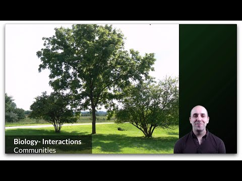 K-Bio Interactions 3: Communities