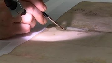 Magna Carta Conservation Treatment