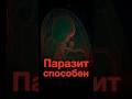 Токсоплазма: Как этот паразит может повлиять на мужскую фертильность #паразитоз #фертильность