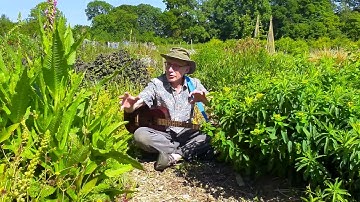 Stephen Harding - Gaia Theory and Localization