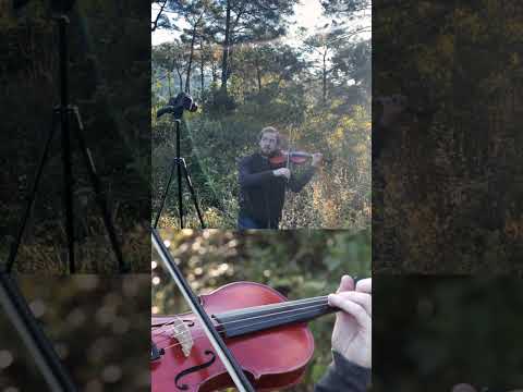 Видео: Have you ever wondered what it’s like to film a music video by yourself? #filming #violin