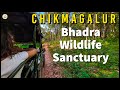 Bhadra wildlife sanctuary  uncover the thrills of a jungle safari in chikmagalur  offbeat travel