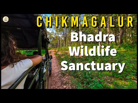 Videó: Bhadra Wildlife Sanctuary leírása és fotók - India: Goa