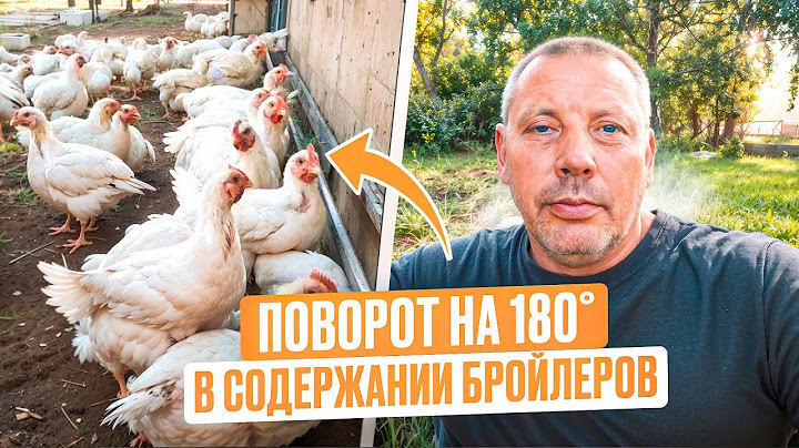 КАК я изменил подход к выращиванию БРОЙЛЕРОВ за 5 лет! Новый взгляд, новые рецепты! 👀🐔 #МоеПодворье