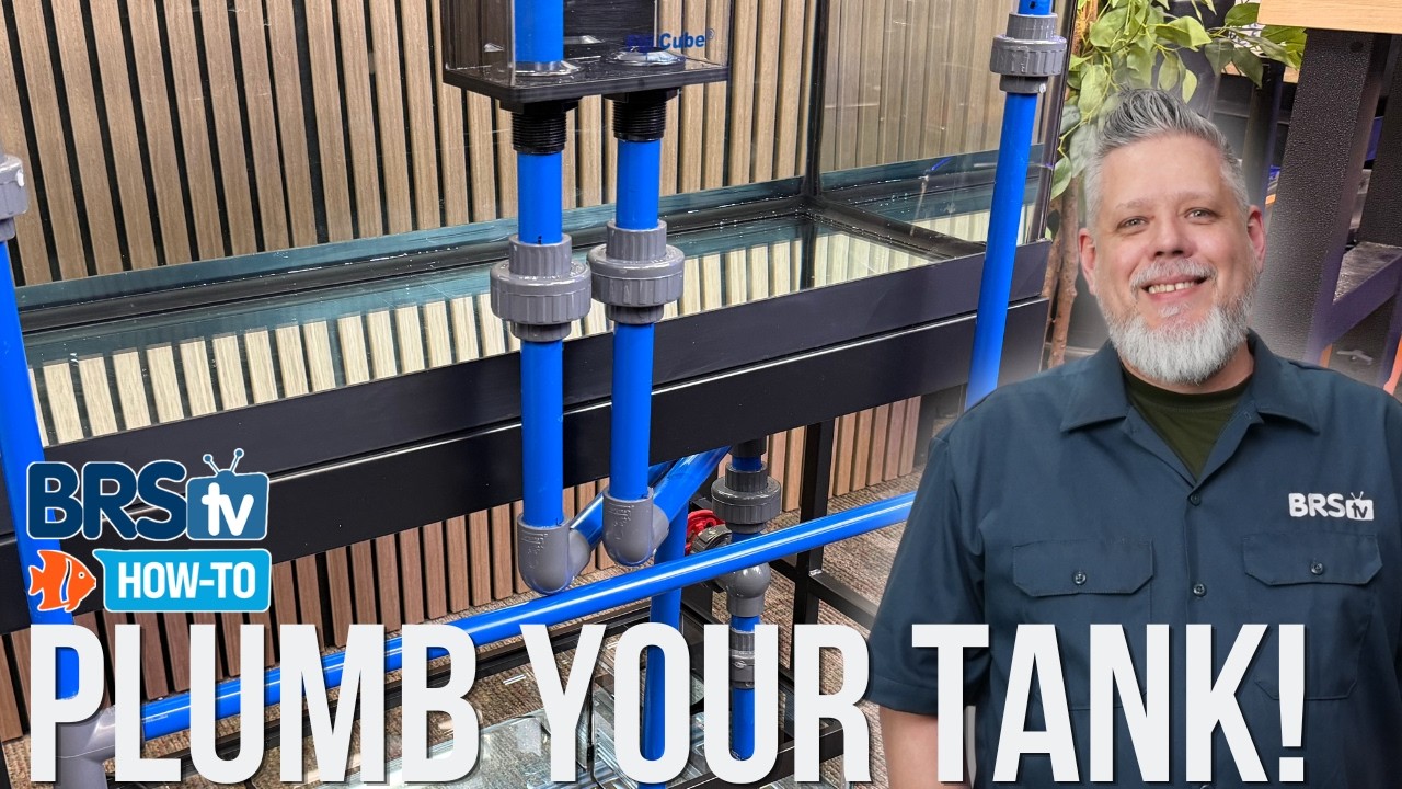How to Plumb a Reef Tank