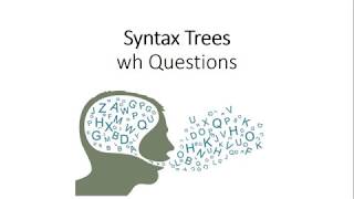 Syntax wh Questions