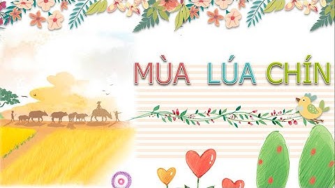 TIẾNG VIỆT 2 | CHÂN TRỜI SÁNG TẠO | CHỦ ĐIỂM 12 - BÀI 3 - MÙA LÚA CHÍN