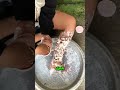 Никогда не отрывайте это от кожи 😳🪲 #shorts