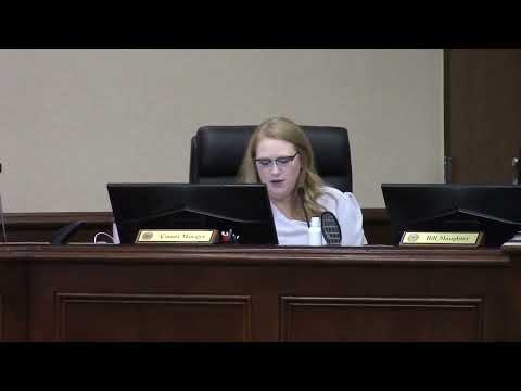 5.a. Valdosta-Lowndes County Zoning Board of Appeals