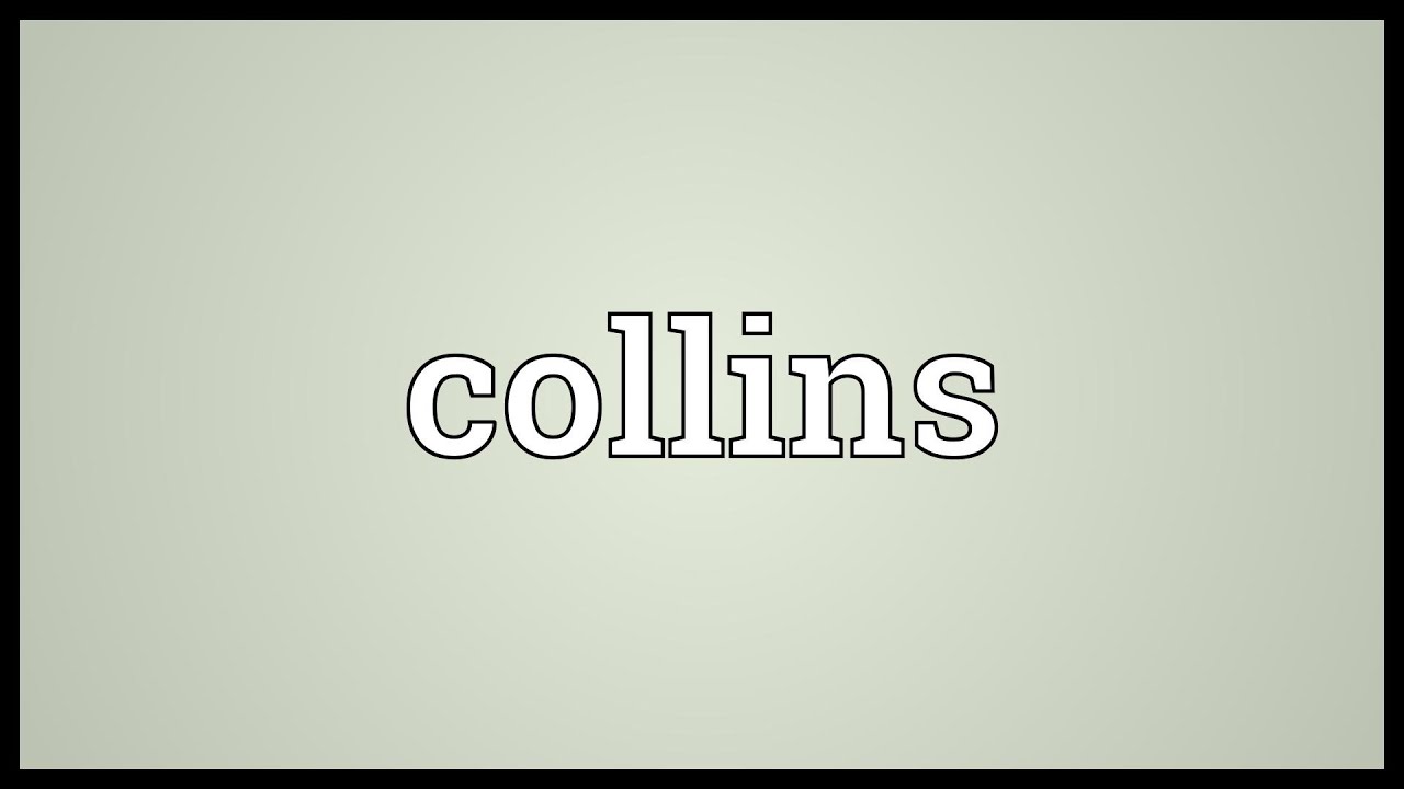 tour meaning collins