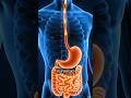 pet kharab ho toh muh me chhale kyu hote hain? #MuhkeChhale #GutHealth #MouthUlcers #Viral #Health