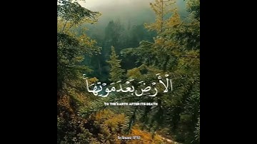 اعْلَمُوا أَنَّ اللَّهَ يُحْيِي الْأَرْضَ بَعْدَ مَوْتِهَا بتلاوة الشيخ ياسر الدوسري 🎧