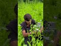 🌱🌿🌷wait for end #shorts #tiktok #trendingreels #viralvideo #villagelife #viralshorts #reels #new