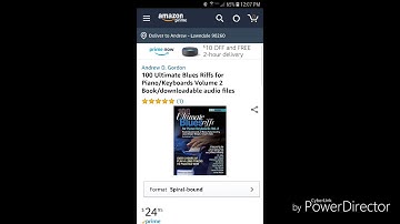100 Ultimate Blues Riffs for Piano/Keyboards Vol. 2 available from Amazon.com