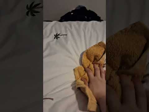 waterboarding my bastard Rabbit