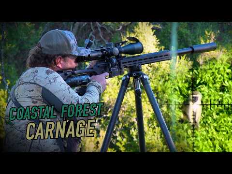 DEBUT HUNT for the Panthera Mk2 & Element SEEKER | Monkey Madness at Olivewoods!