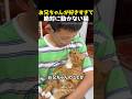 お兄ちゃんが好きすぎて絶対に動かない猫