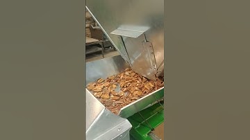 Thomson Vibra 2 Pecan Sheller