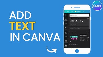 How To Add Text in Canva | Canva Text Box | Easy!