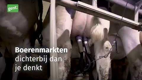 Korte Keten Boerenmarkt