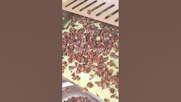 Dates Cutting Machine | Dry Dates Slicing Cutting | खजूर काटने की मशीन | छुहारा कटने की मशीन