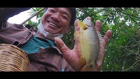 Tập 9: Về tháp mười câu được cá rô bự