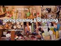 Beauty reset day  organizing my skincare mess spring cleaning  getting my life together