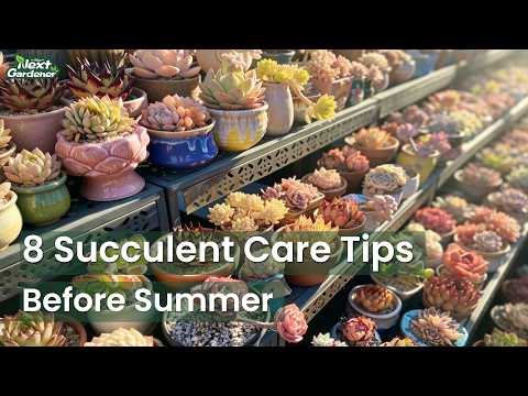 The Next Gardener - YouTube